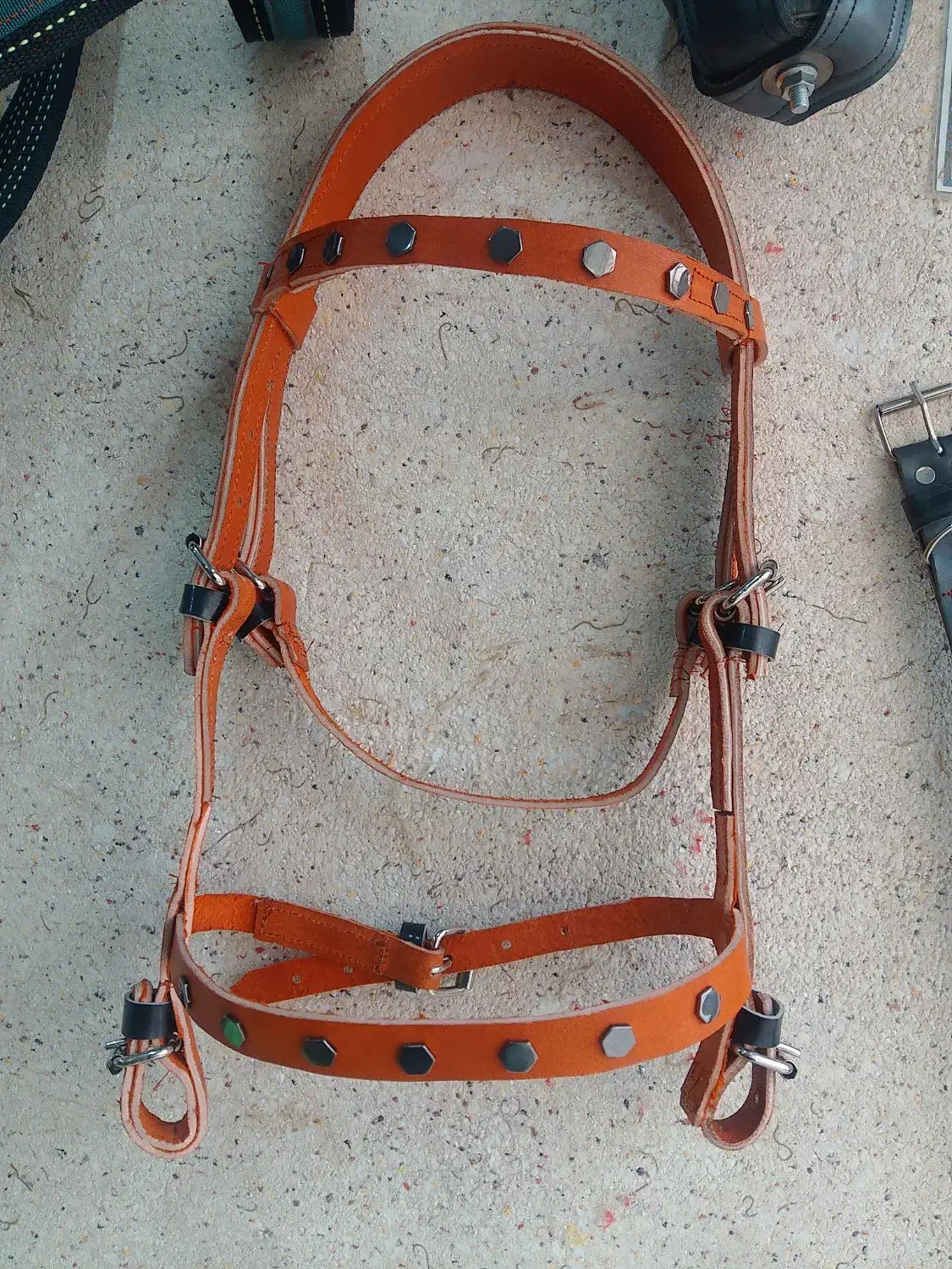 دهنه دست جلو|اسب و تجهیزات اسب‌سواری|مشهد, چهنو|دیوار