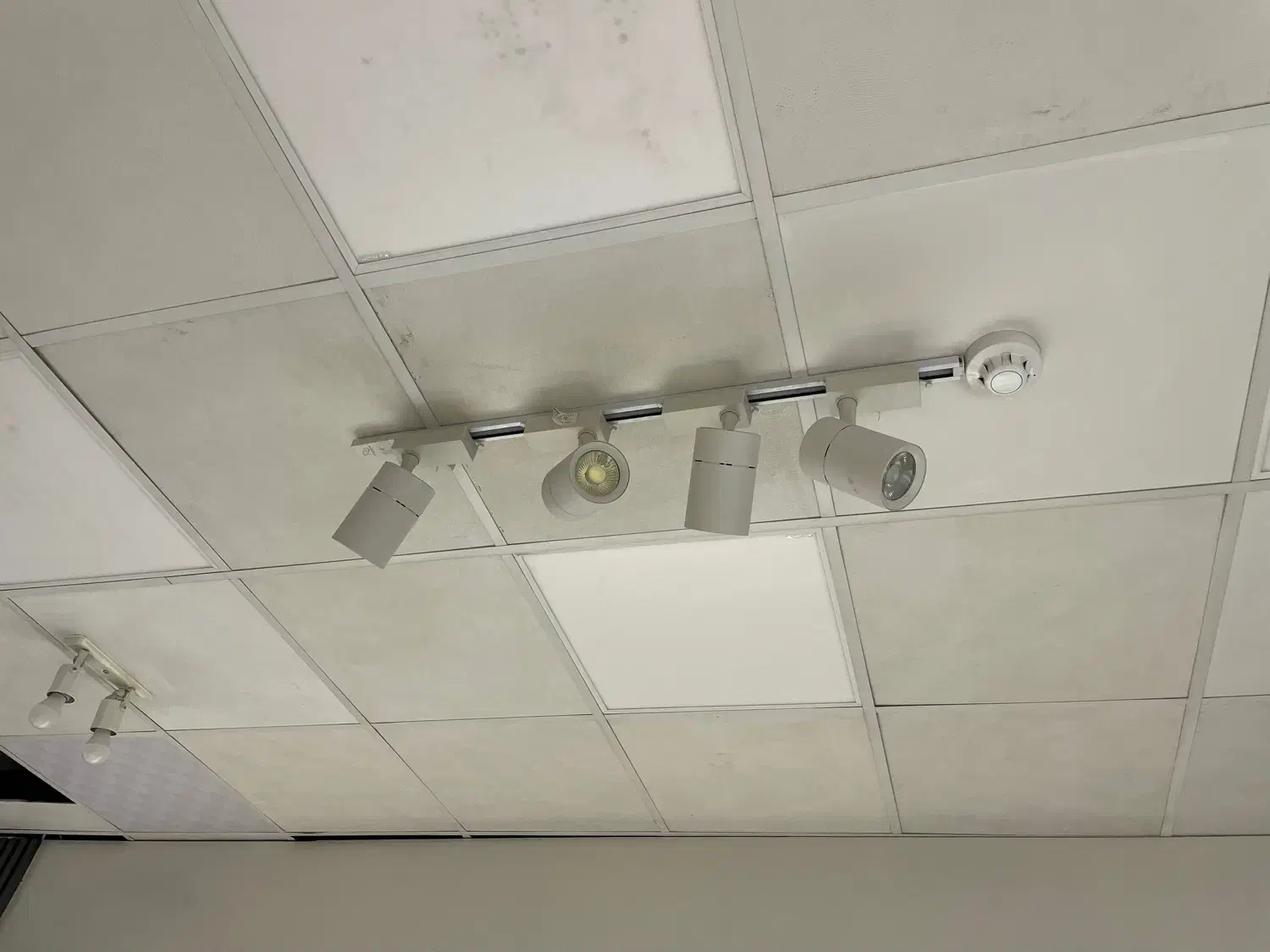 چراغ ریلی سقفی|لامپ و چراغ|مشهد, آبکوه|دیوار