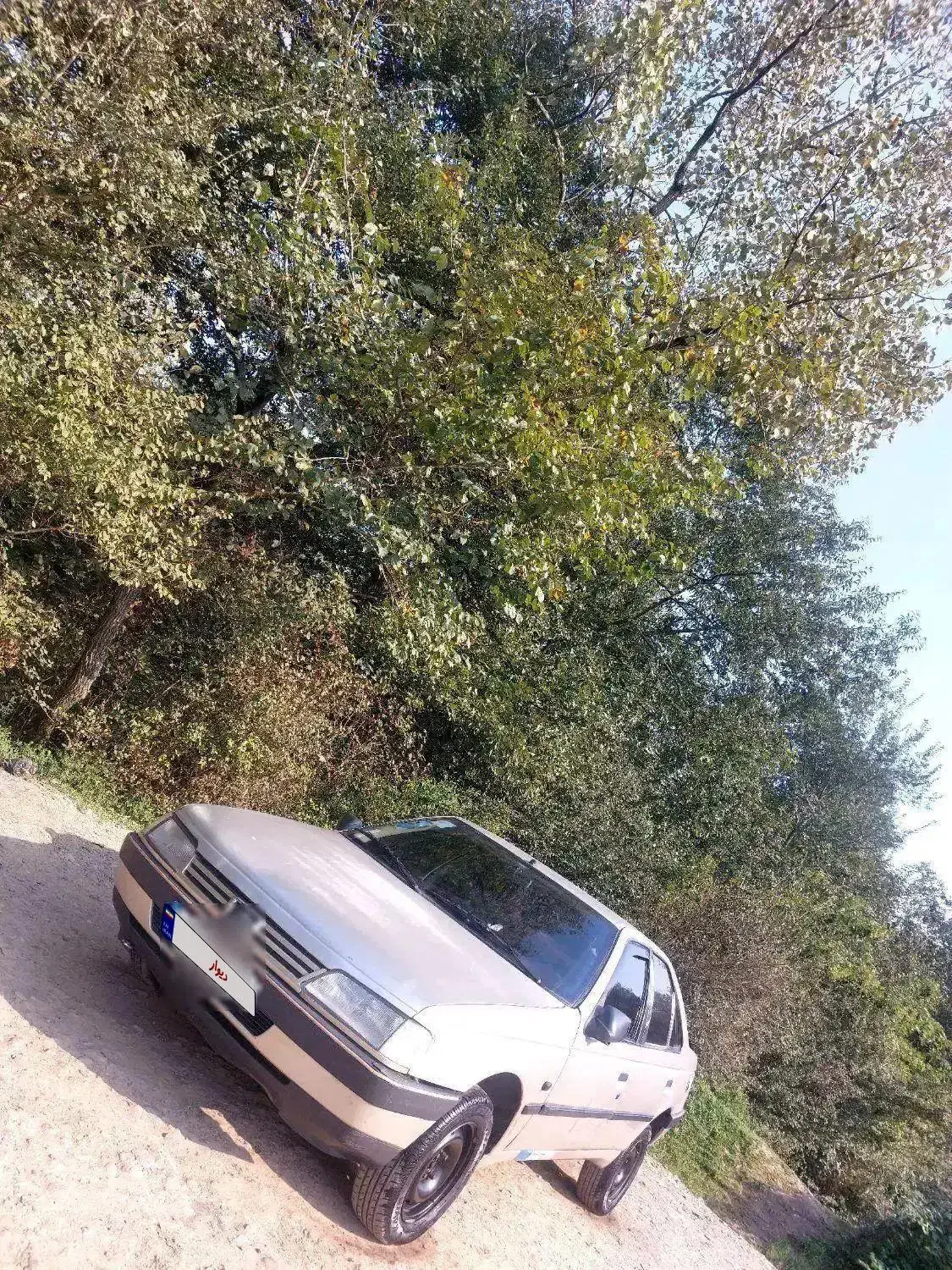 پژو 405 مدل 84|خودرو سواری و وانت|رشت, جانبازان|دیوار