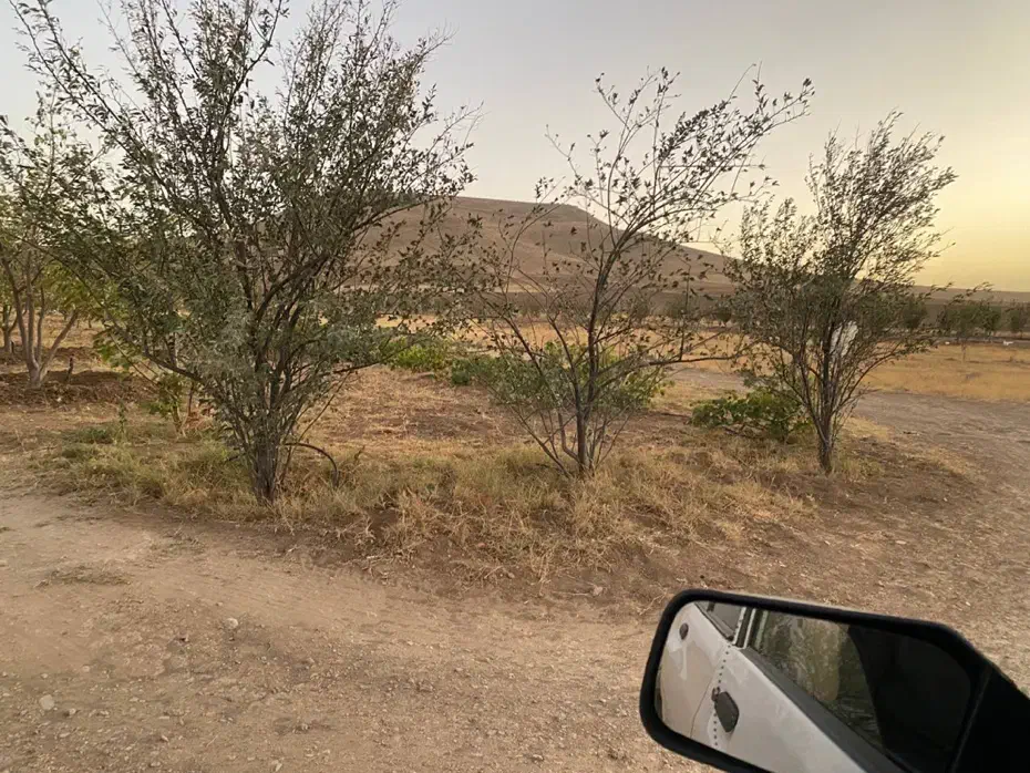 2قطعه زمین خونه باغ در کوسه|فروش زمین و ملک کلنگی|بوکان, |دیوار