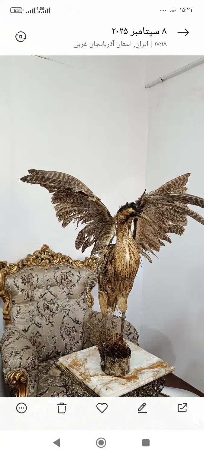 پرنده دکوری|مجسمه، تندیس، ماکت|بوکان, |دیوار