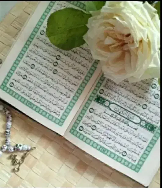 فال تاروت قهوه قرآن ۵۰تومان تک نیت ۳۰تومان|خدمات پذیرایی، مراسم|اهواز, گلستان|دیوار