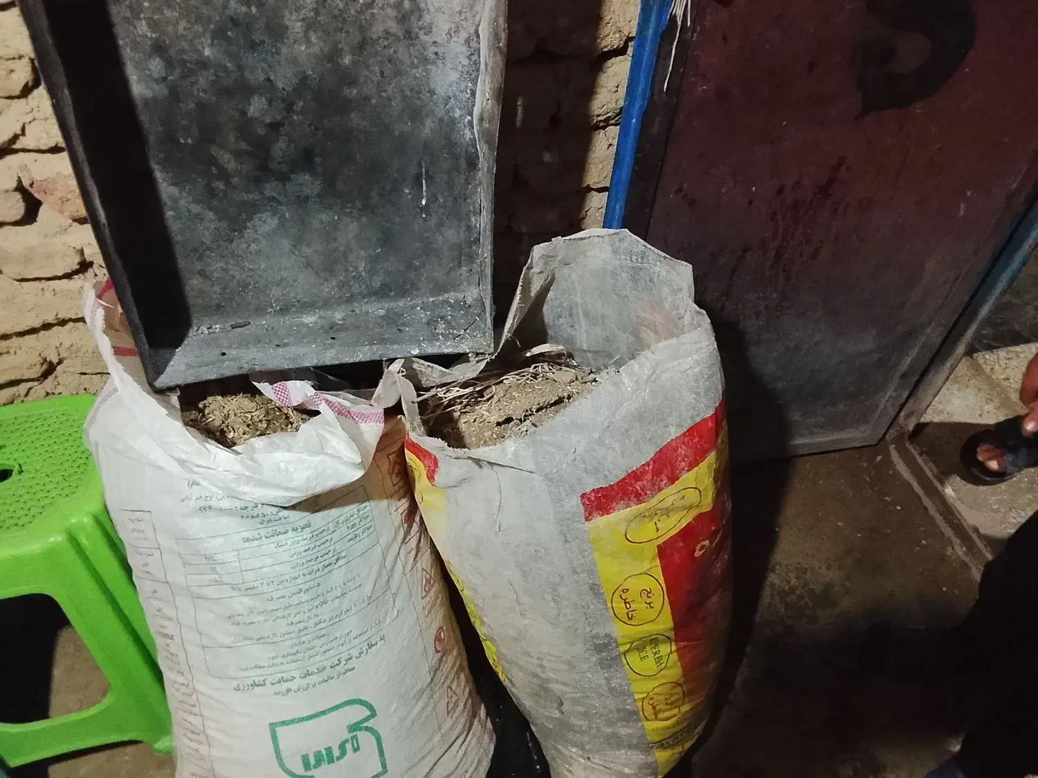 فضله کبوتر|خدمات باغبانی و درختکاری|کنگاور, |دیوار