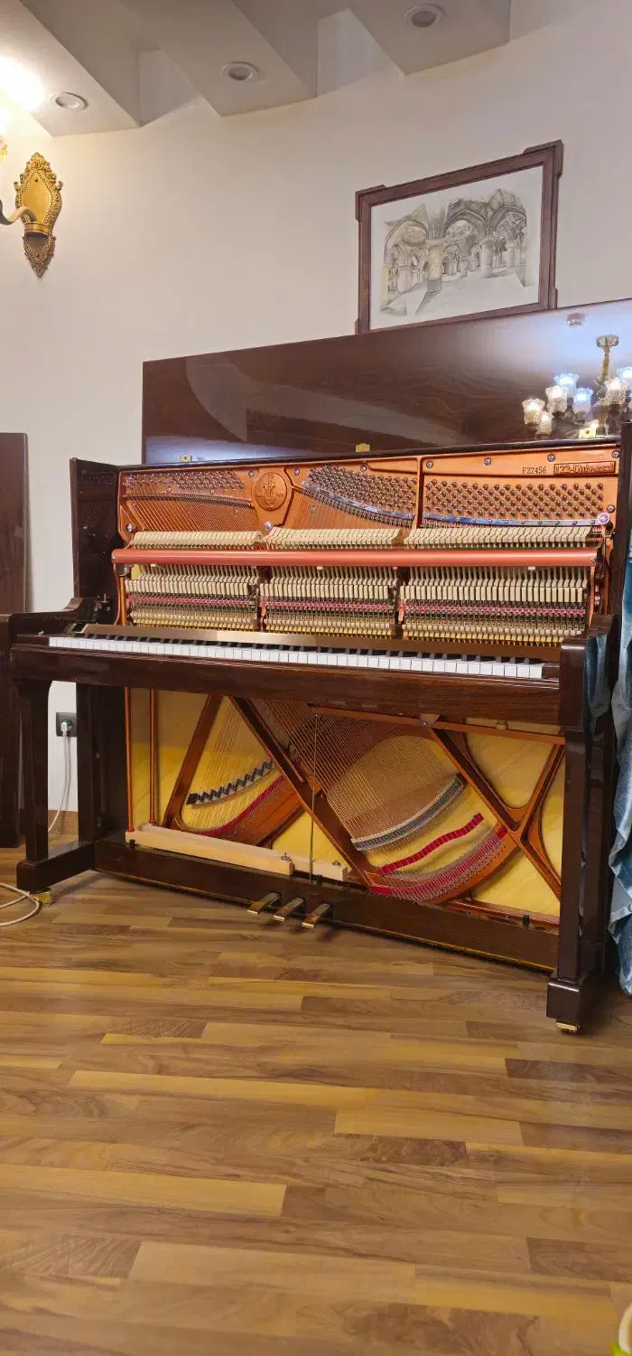 کوک و رگلاژ پیانو و کارشناسی و مشاوره در خرید|پیانو، کیبورد، آکاردئون|اصفهان, باغ زرشک|دیوار