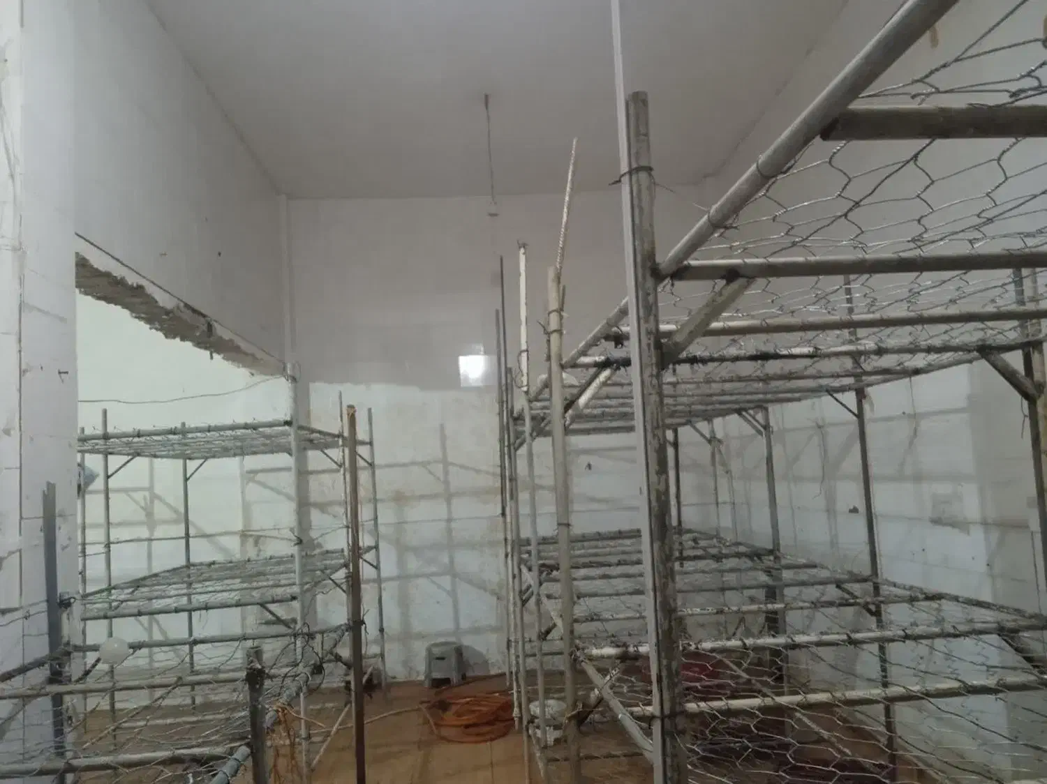 قفسه مناسب پرورش قارچ|فروشگاه و مغازه|گنبد کاووس, |دیوار