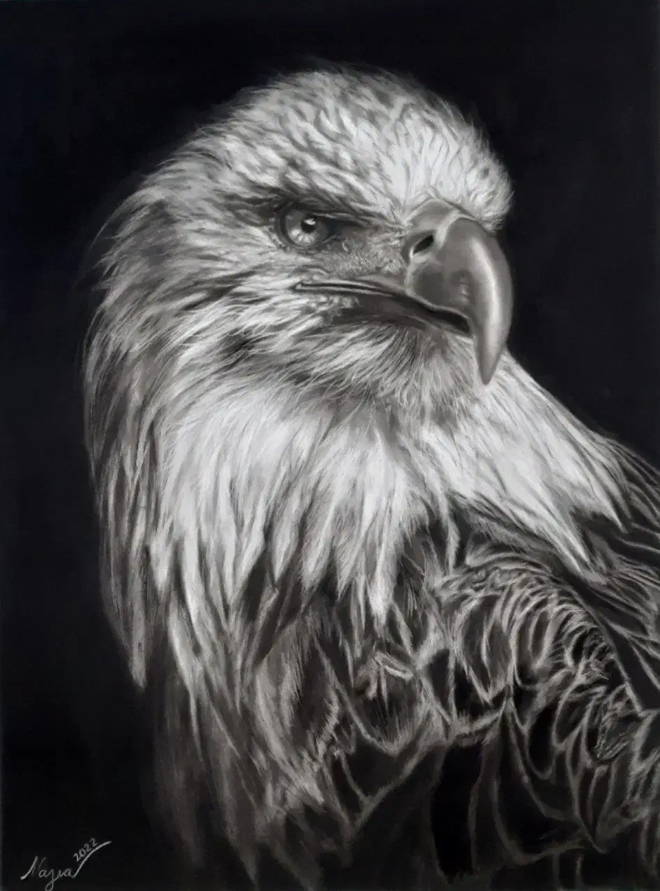 آموزش طراحی چهره و سیاهقلم (هایپررئال)|خدمات آموزشی|قم, بنیاد|دیوار