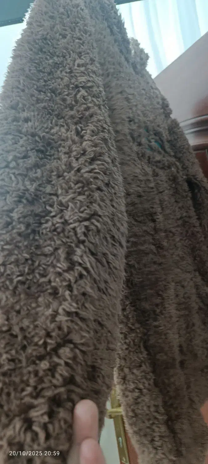 هودی تدی نوعه نوع اصلا استفاده نشده|لباس|تربت جام, بهشت نبی|دیوار