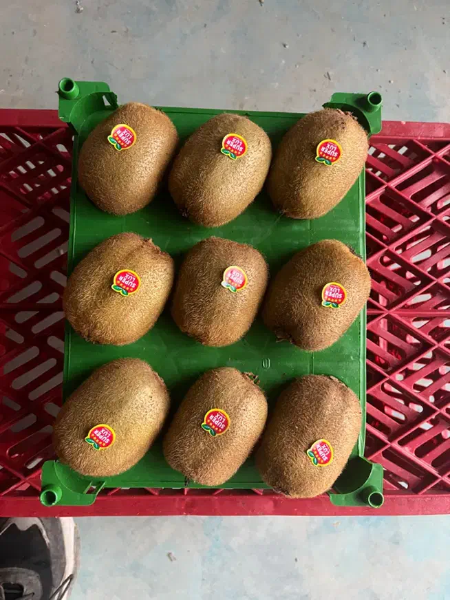 سبد تک رج کیوی|عمدهفروشی|اسالم, |دیوار