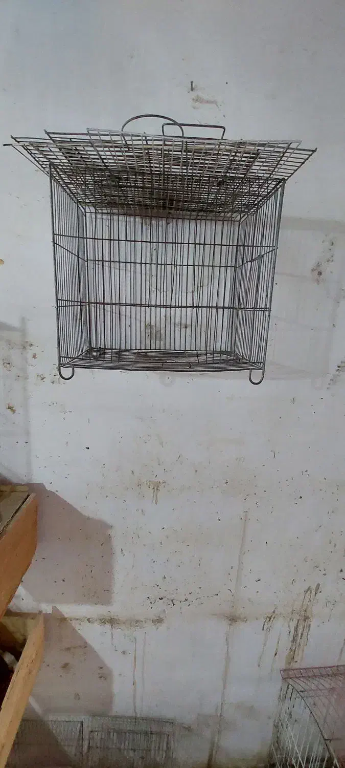 قفس|لوازم جانبی حیوانات|رشت, شهرک صبا|دیوار