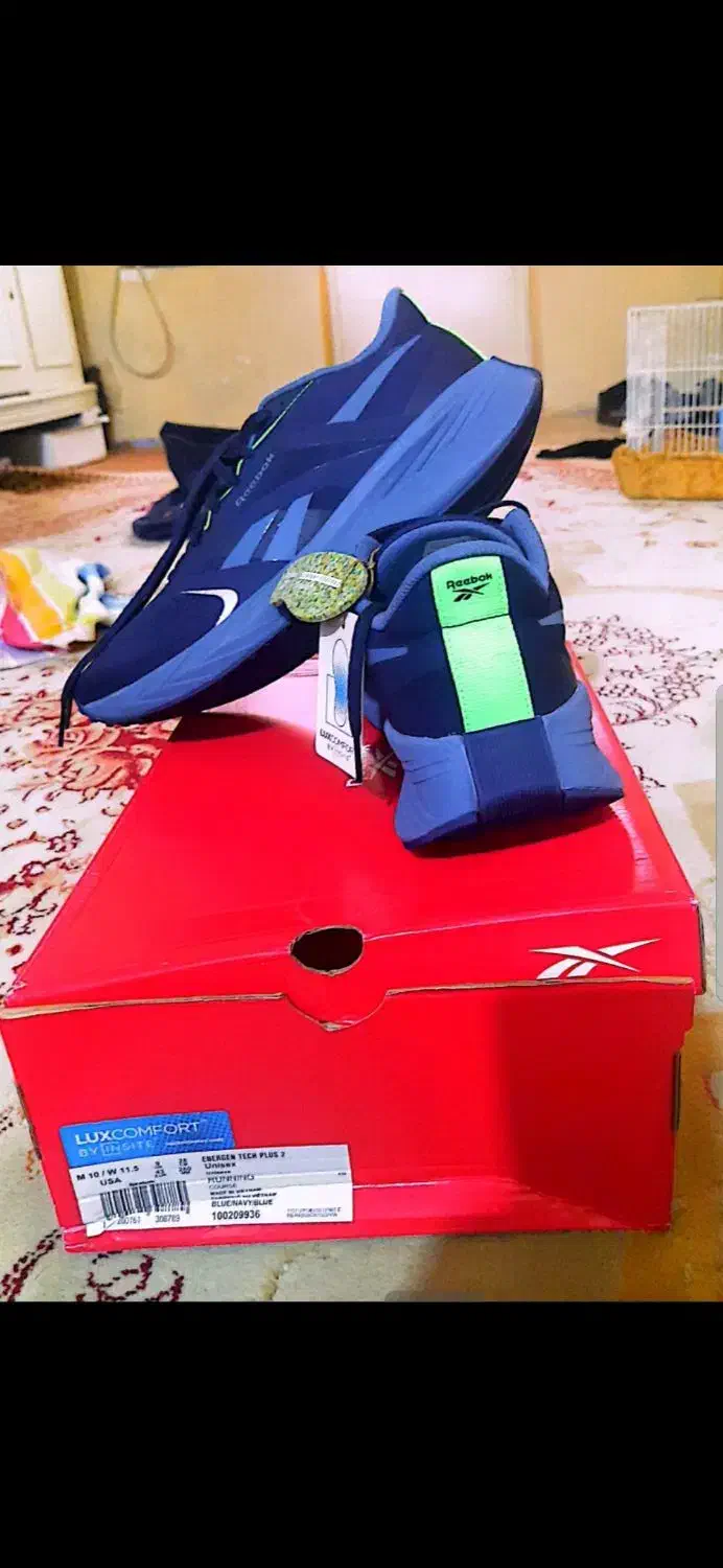 کفش ریباک|کیف، کفش، کمربند|مسجد سلیمان, |دیوار