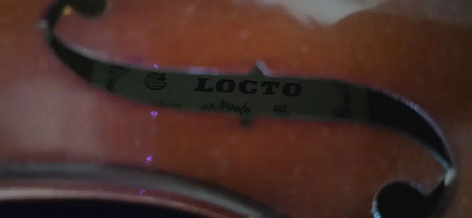 ویولن 4/4 Locto|ویولن|ساری, |دیوار