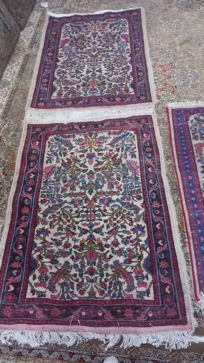 قالی خَرَک|فرش|قم, شهرک امام حسین|دیوار