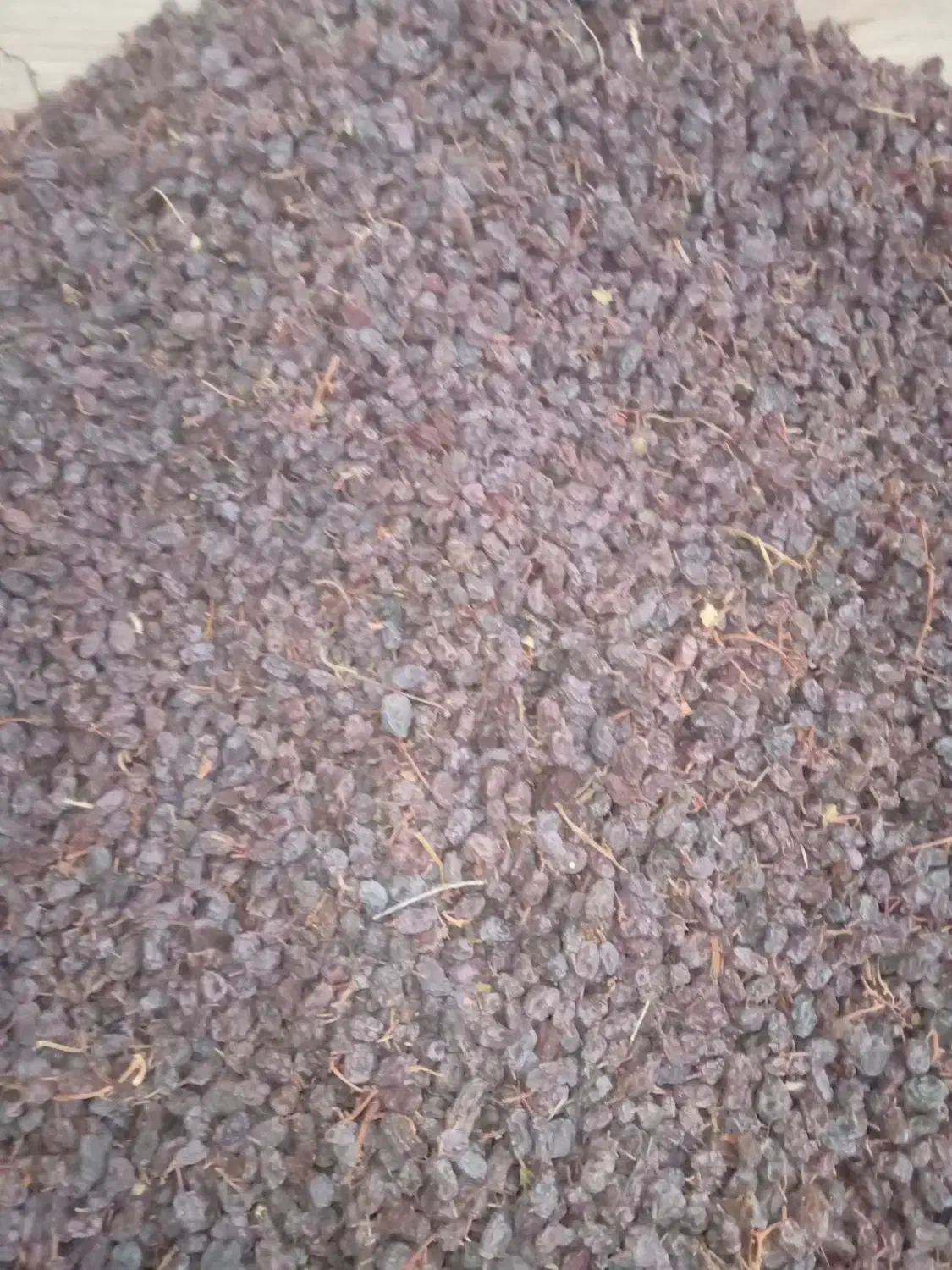 فروش کشمش افتابی|عمدهفروشی|میاندوآب, |دیوار