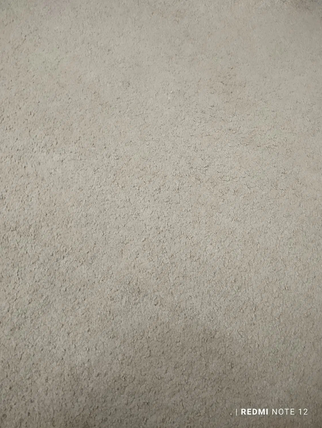 موکت پالاز|موکت|بروجرد, |دیوار