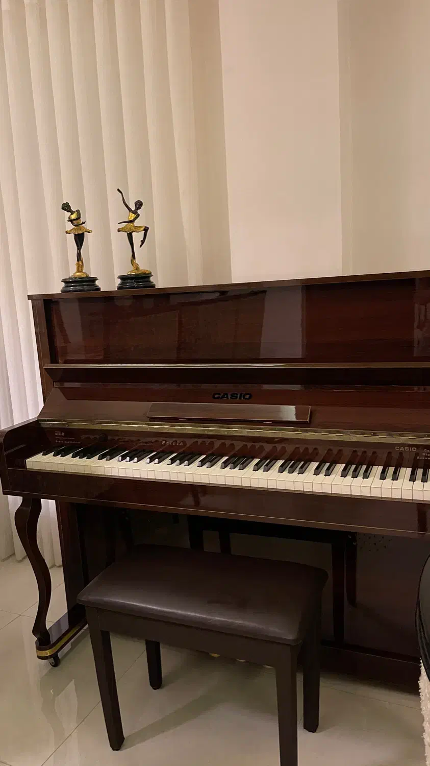 پیانو دیجیتال کاسیو طرح آکوستیک|پیانو، کیبورد، آکاردئون|رشت, دیلمان|دیوار
