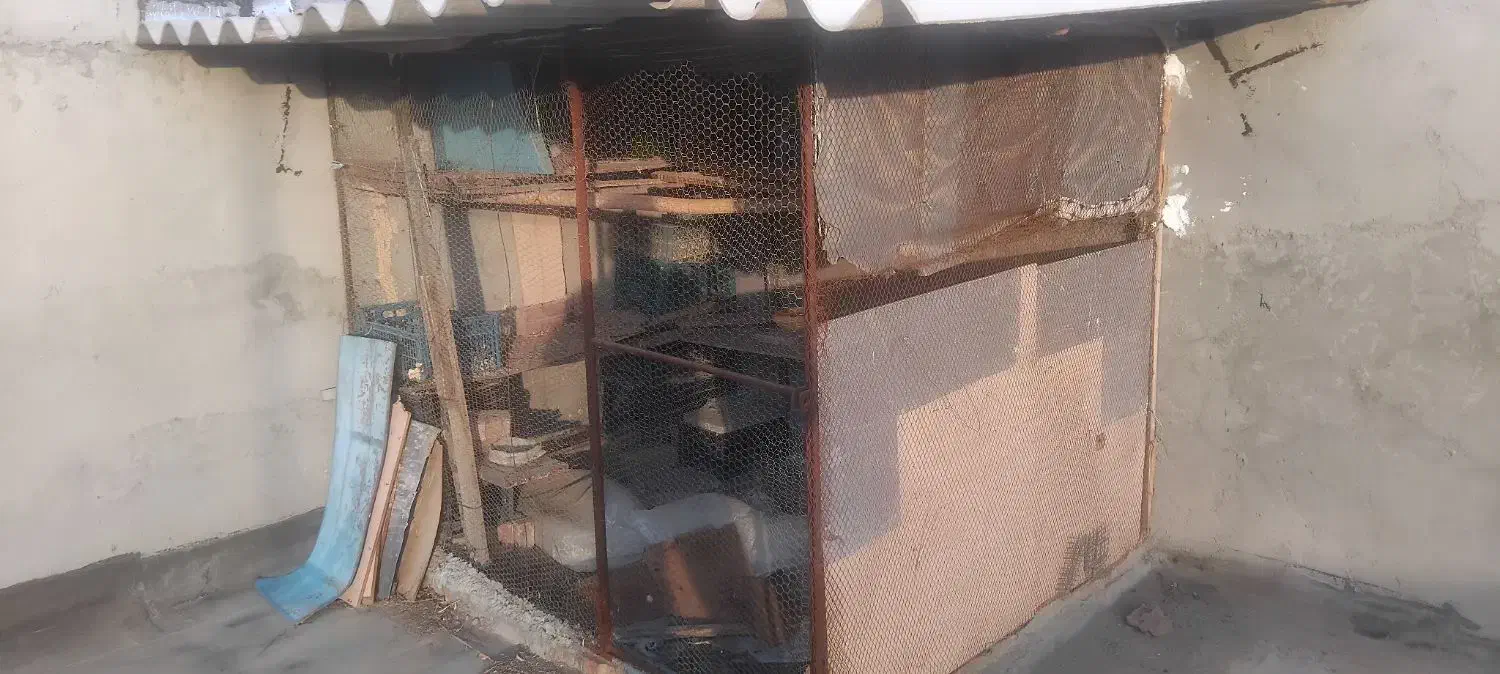 قفس|لوازم جانبی حیوانات|گوگان, |دیوار