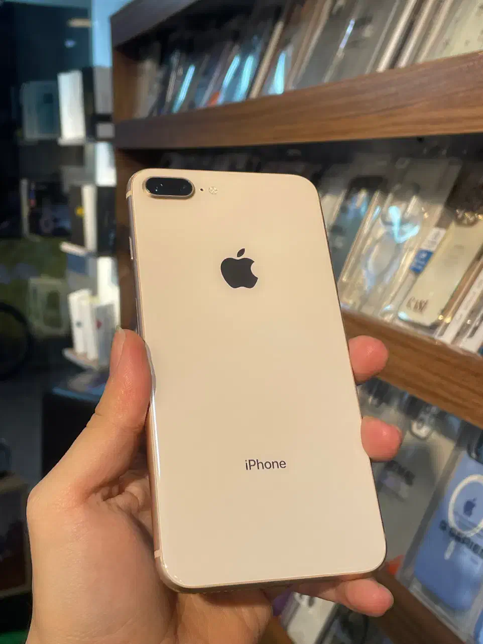 اپل iPhone 8 Plus حافظه 64 گیگ باطری 100|موبایل|رشت, منظریه|دیوار