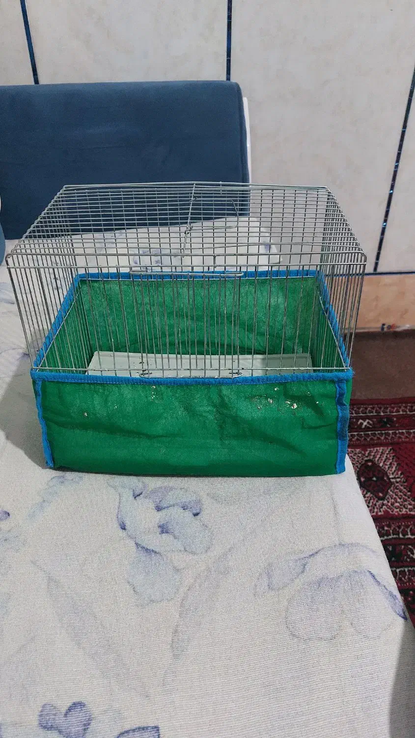 قفس پرنده فقط زنگ بزنین|لوازم جانبی حیوانات|گنبد کاووس, |دیوار