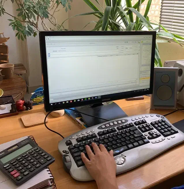 حسابداری مدارس پذیرفته میشود|خدمات مالی، حسابداری، بیمه|زابل, |دیوار