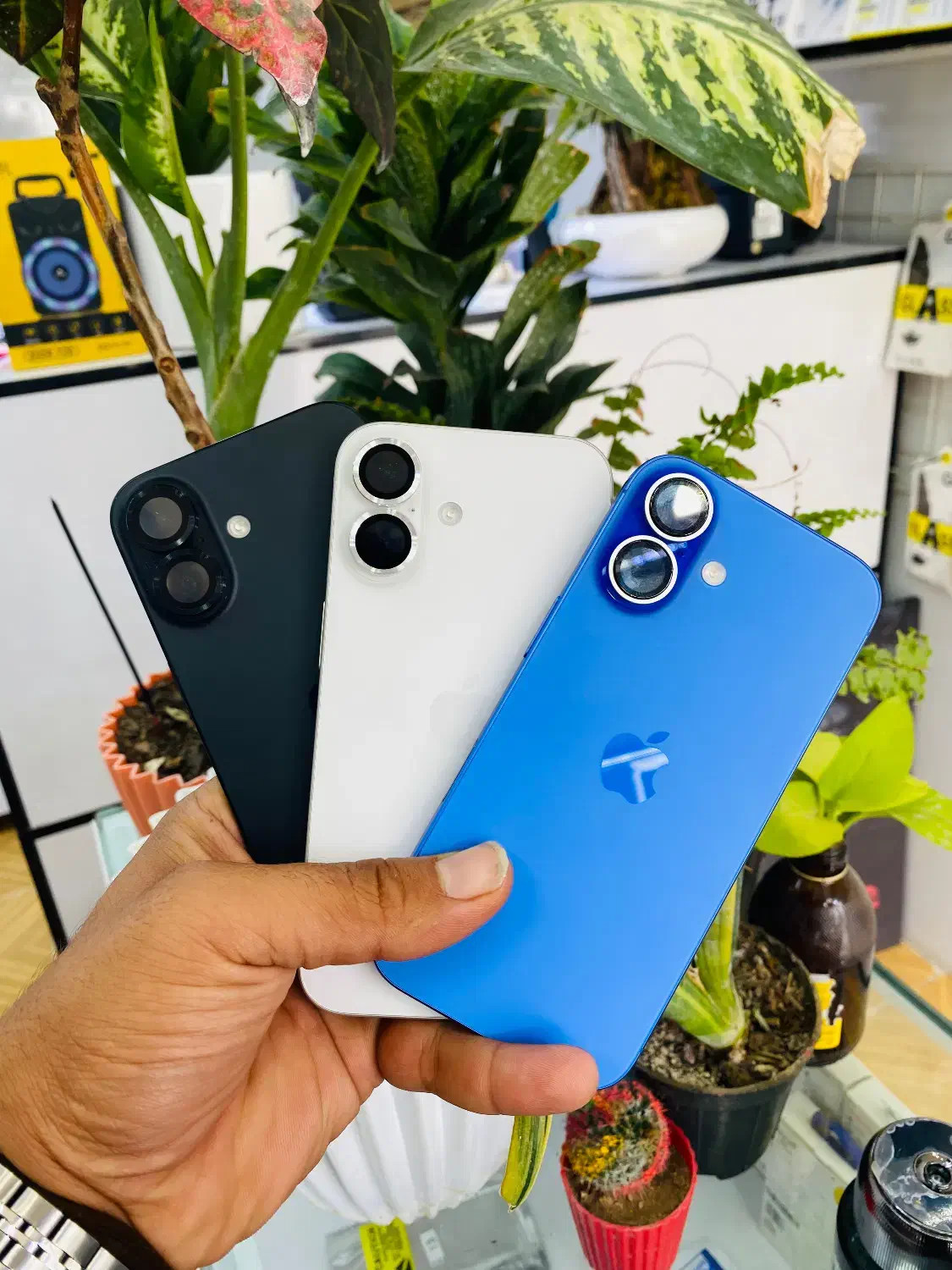 iPhone 16normal|موبایل|مرودشت, ژیان|دیوار