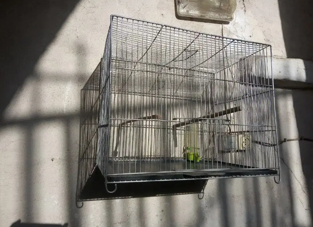 دو عدد قفس قناری تعویض و فروش|لوازم جانبی حیوانات|محمدیه-قزوین, |دیوار