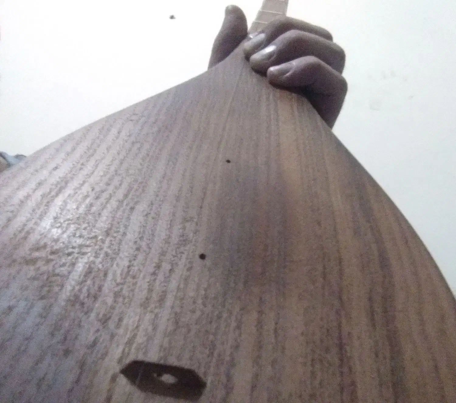 دوتار خراسان|سازهای سنتی|تهران, فلسطین (میدان انقلاب)|دیوار