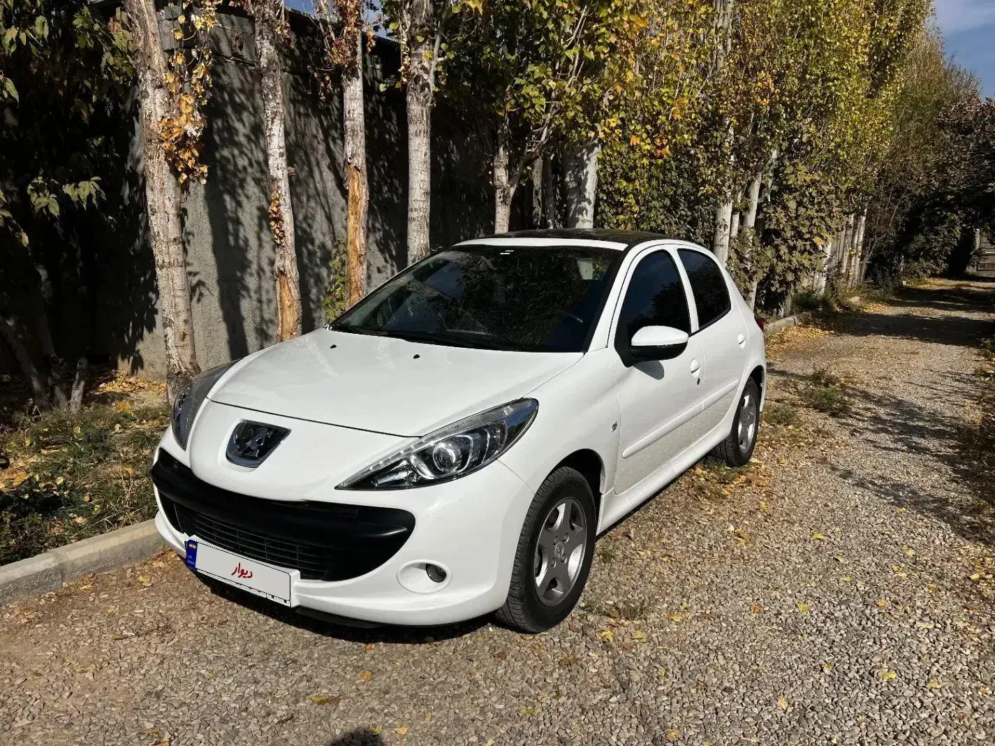 207پانا ارتقا|خودرو سواری و وانت|تهران, تهرانسر شرقی|دیوار