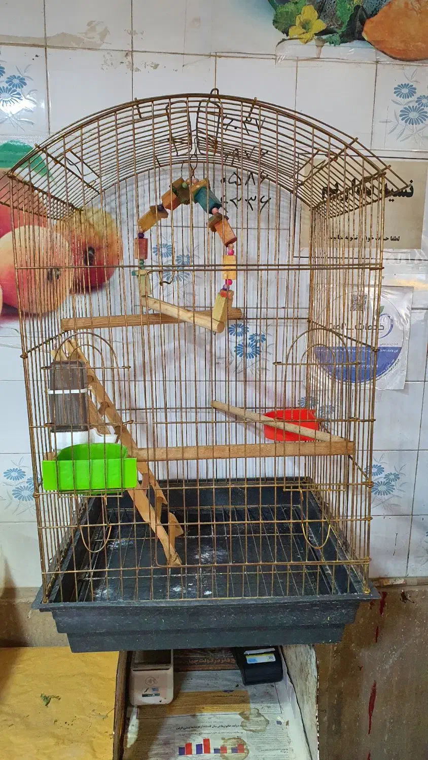 قفس|لوازم جانبی حیوانات|شیراز, بریجستون|دیوار