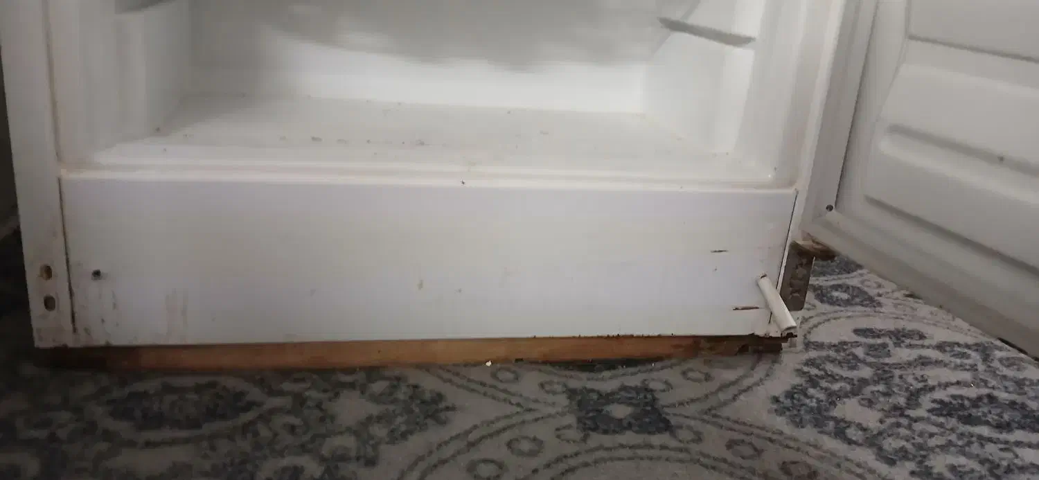 یخچال|یخچال و فریزر|مشهد, کارگران|دیوار