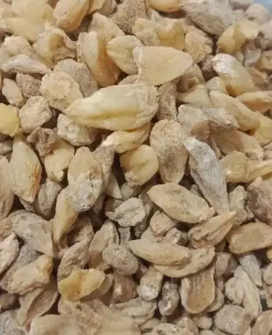 ثعلب|خوردنی و آشامیدنی|تکاب, |دیوار
