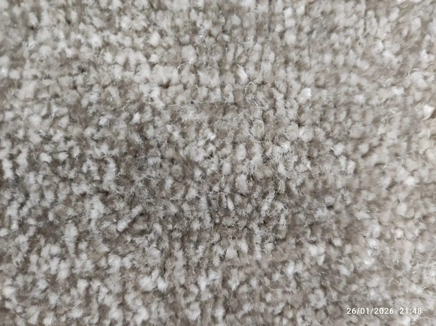 پالاز موکت نو|موکت|دزفول, |دیوار