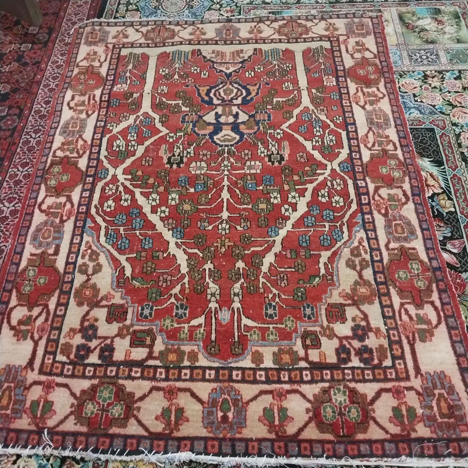 قالیچه کهنه مبارکه|فرش|قرچک, داوود آباد|دیوار