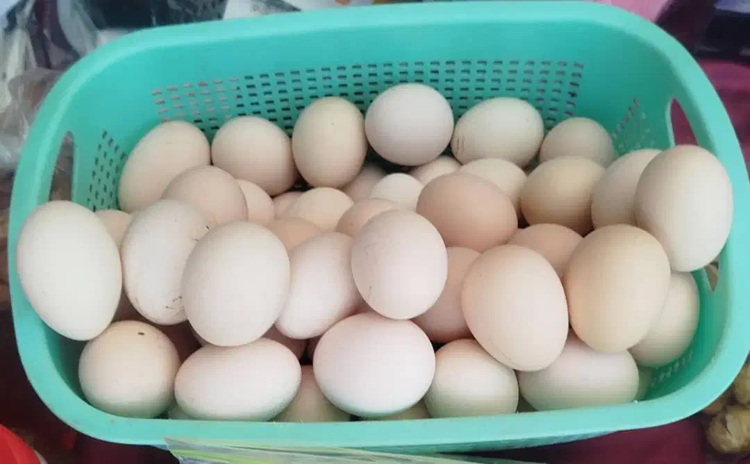 تخم مرغ محلی|خوردنی و آشامیدنی|شیراز, شهدای شهرک سعدی|دیوار