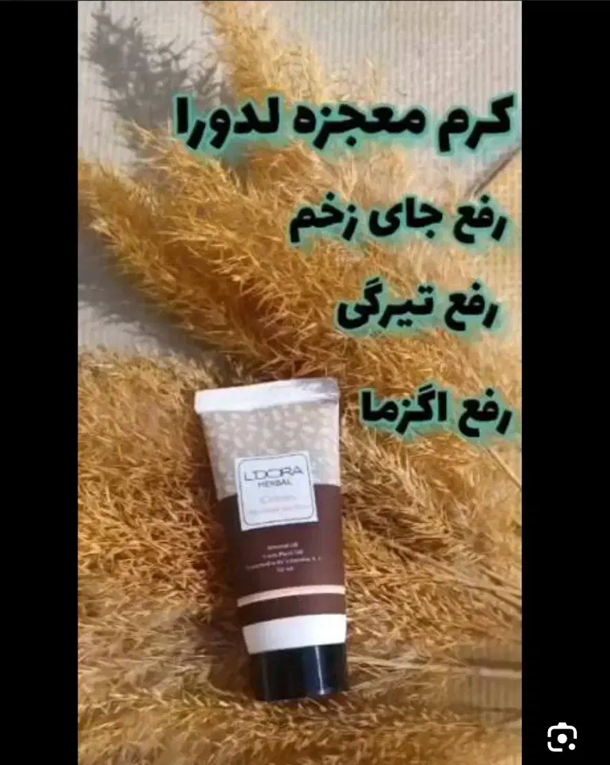 نصف قیمت شد|پادری|سبزوار, امیر کبیر|دیوار