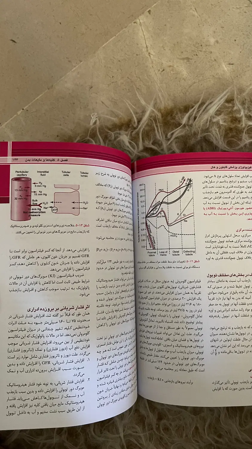 کتاب فیزیولوژی پزشکی گایتون/هال خلاصه|کتاب و مجله آموزشی|تهران, دزاشیب|دیوار