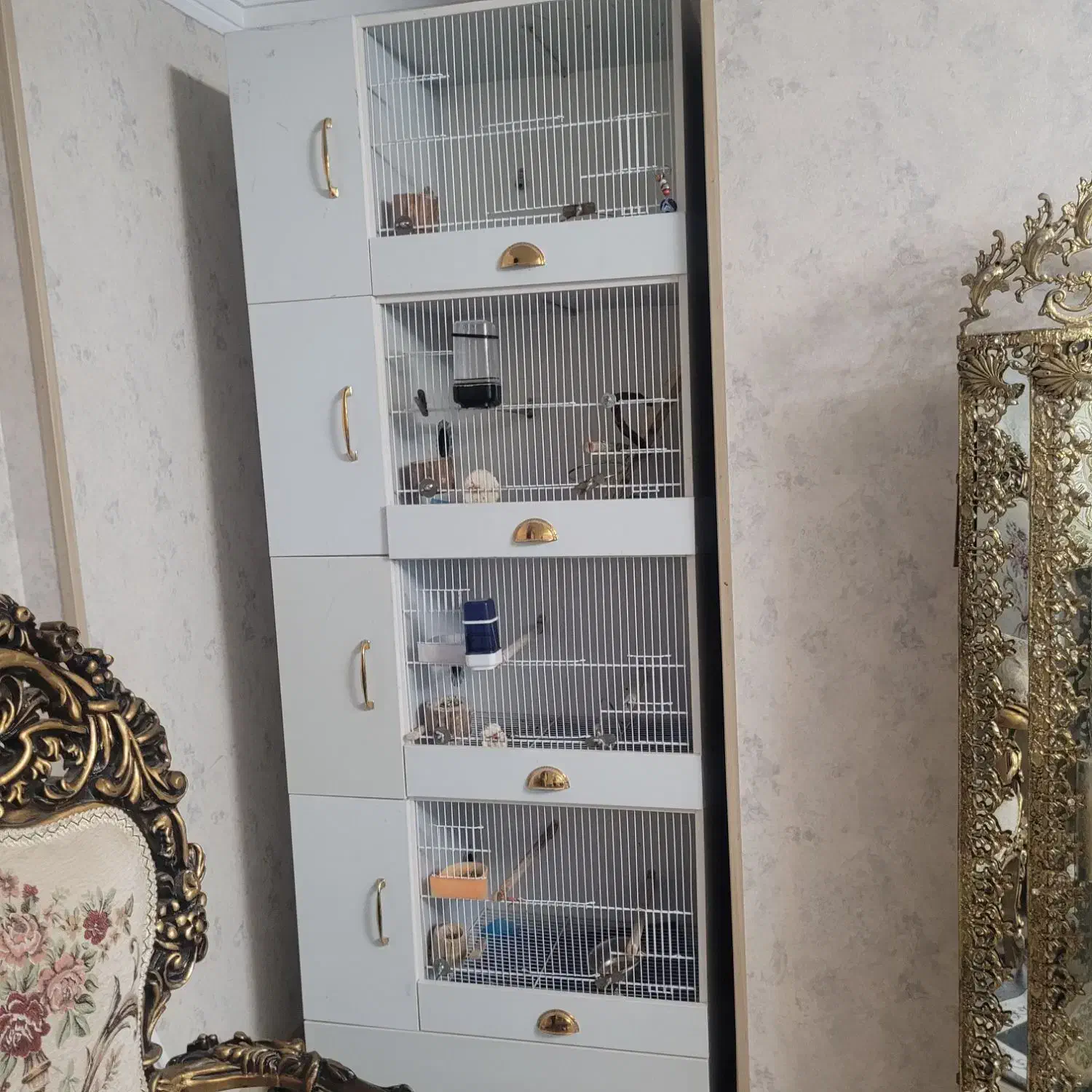 قفس چوبی اروپایی|لوازم جانبی حیوانات|قدس, شهرقدس|دیوار