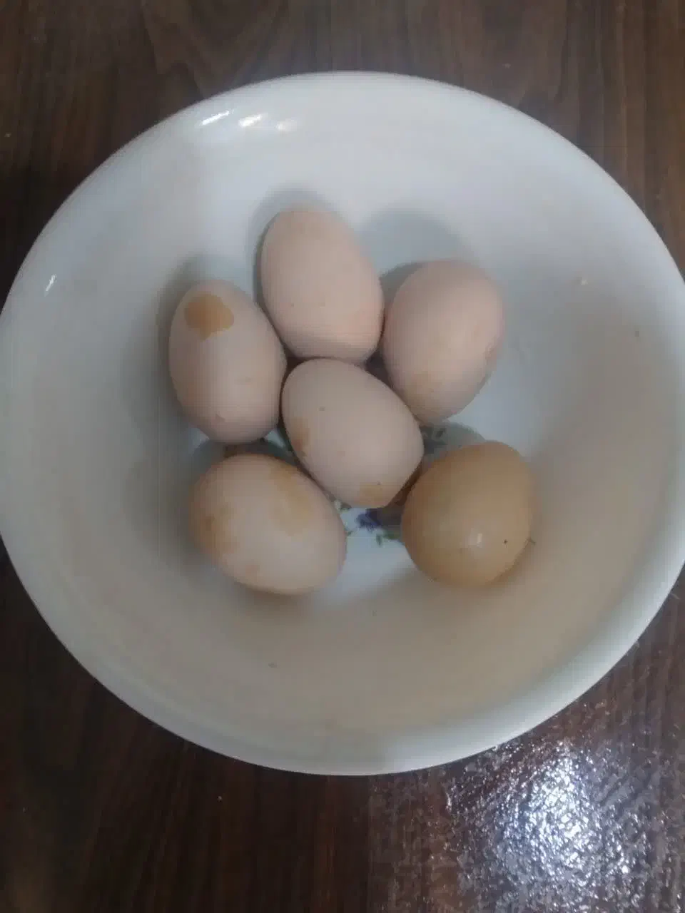 تخم مرغ برهما|حیوانات مزرعه|مهریز, |دیوار