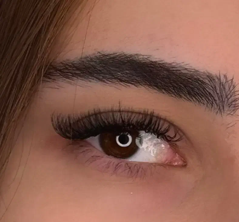 مژه|خدمات آرایشگری و زیبایی|ساری, |دیوار