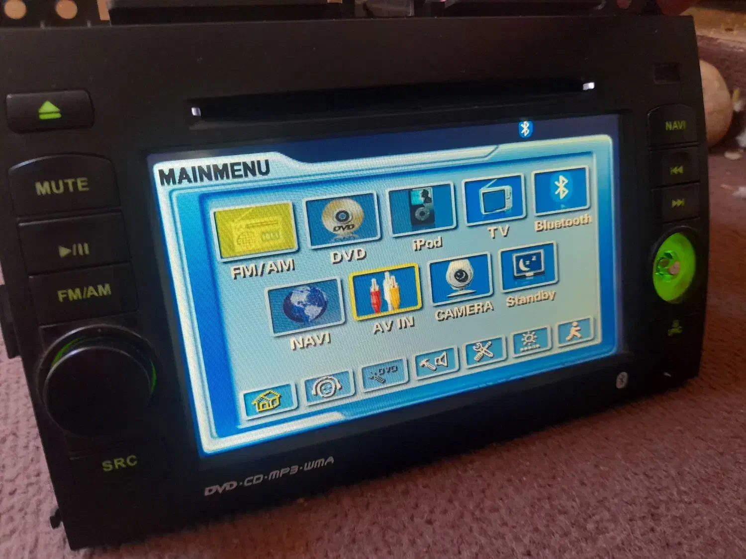 یک جفت طوطی برزیلی|پرنده|چهارباغ, |دیوار