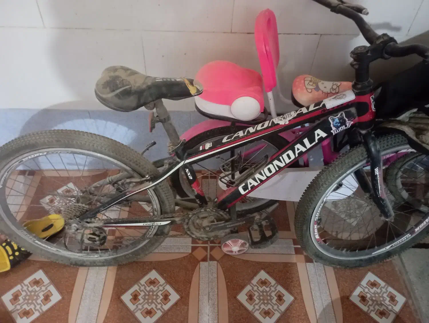 دوچرخه ۲۴|دوچرخه، اسکیت، اسکوتر|برازجان, |دیوار