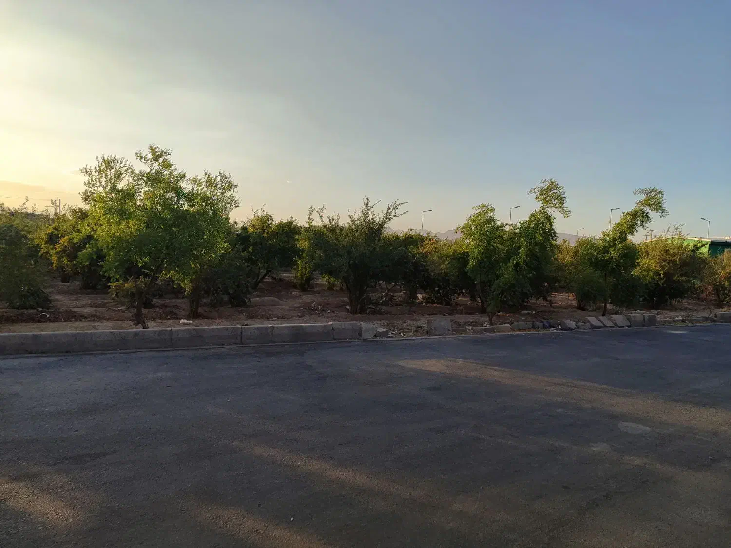 فروش زمین|فروش دفتر صنعتی، کشاورزی، تجاری|نجفآباد, جوزدان|دیوار