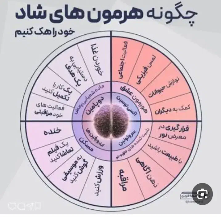 طب سنتی(حجامت ناف ورودل هول اسپاسم عضلات بادکش و|خدمات آرایشگری و زیبایی|اراک, |دیوار
