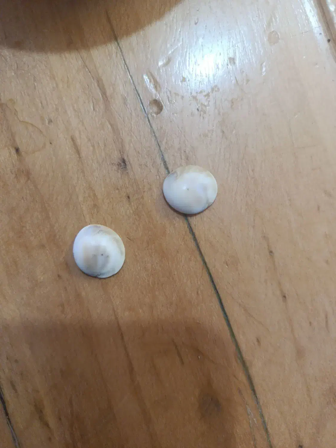 مهرع|بدلیجات|تربت‌حیدریه, کوه سنگی|دیوار