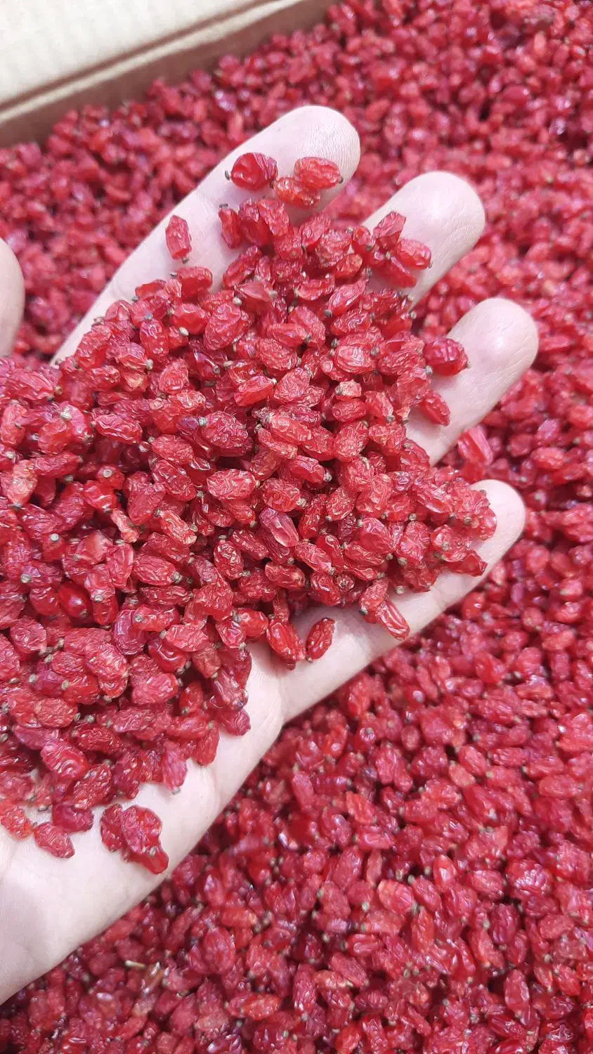 زرشک قائنات|خدمات پذیرایی، مراسم|قائن, |دیوار