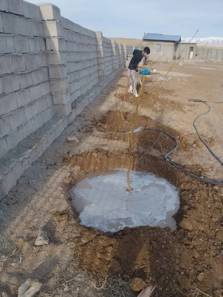 سالن دامداری شخصی سازی شده|فروش دفتر صنعتی، کشاورزی، تجاری|کندوان, |دیوار