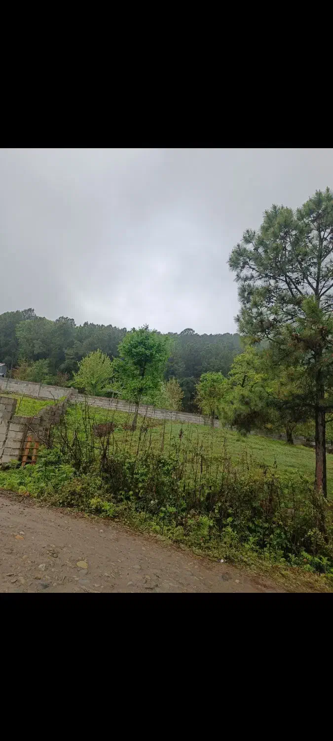 ۲۴۰ متری کوهپایه ای بر جاده رودبارسرا به اولم|فروش زمین و ملک کلنگی|رضوانشهر, |دیوار