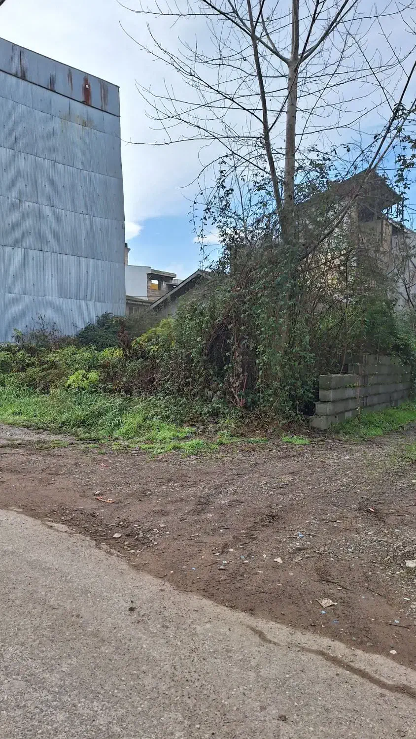 زمین|فروش زمین و ملک کلنگی|رشت, پستک|دیوار