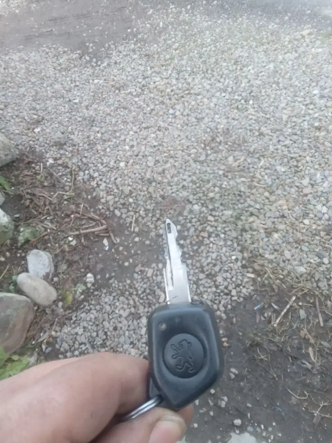 پژو آردی کلکسیونی دو برگ سند|خودرو سواری و وانت|نوشهر, |دیوار