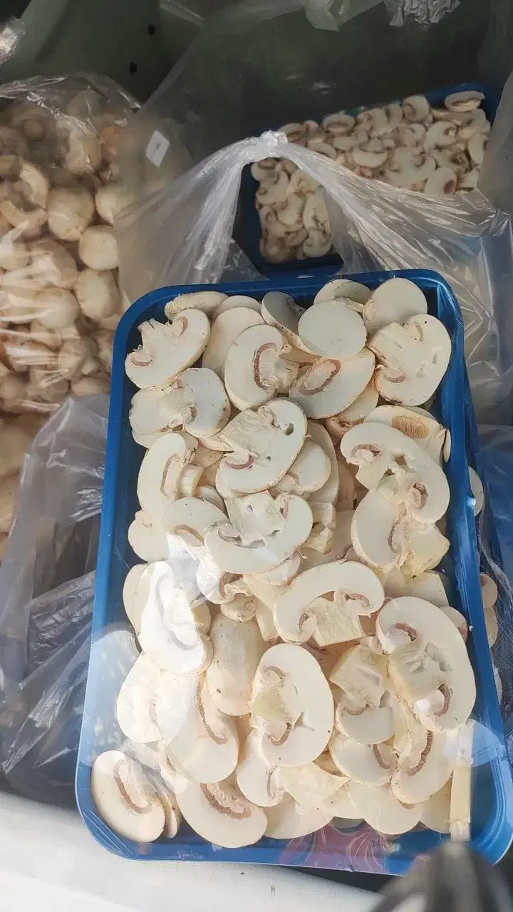 قارچ اسلایس ،فله ،سوخاری ،بلنچ|خوردنی و آشامیدنی|تهران, تهرانپارس جنوبی|دیوار