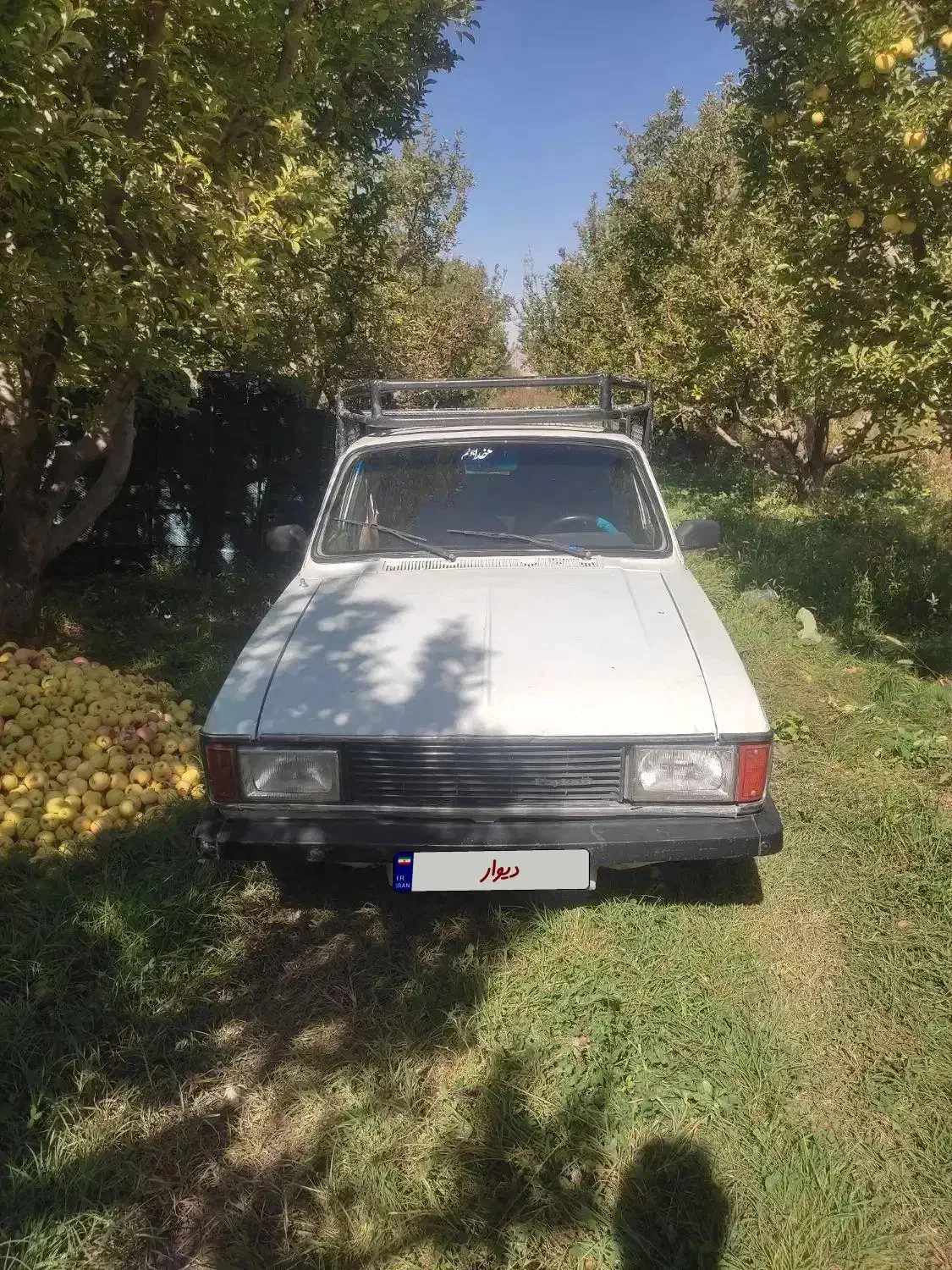 پیکان وانت|خودرو سواری و وانت|ارومیه, |دیوار